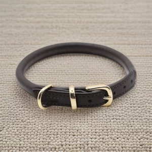 rolled-leather-dog-collar-electric-brown_1705063097502